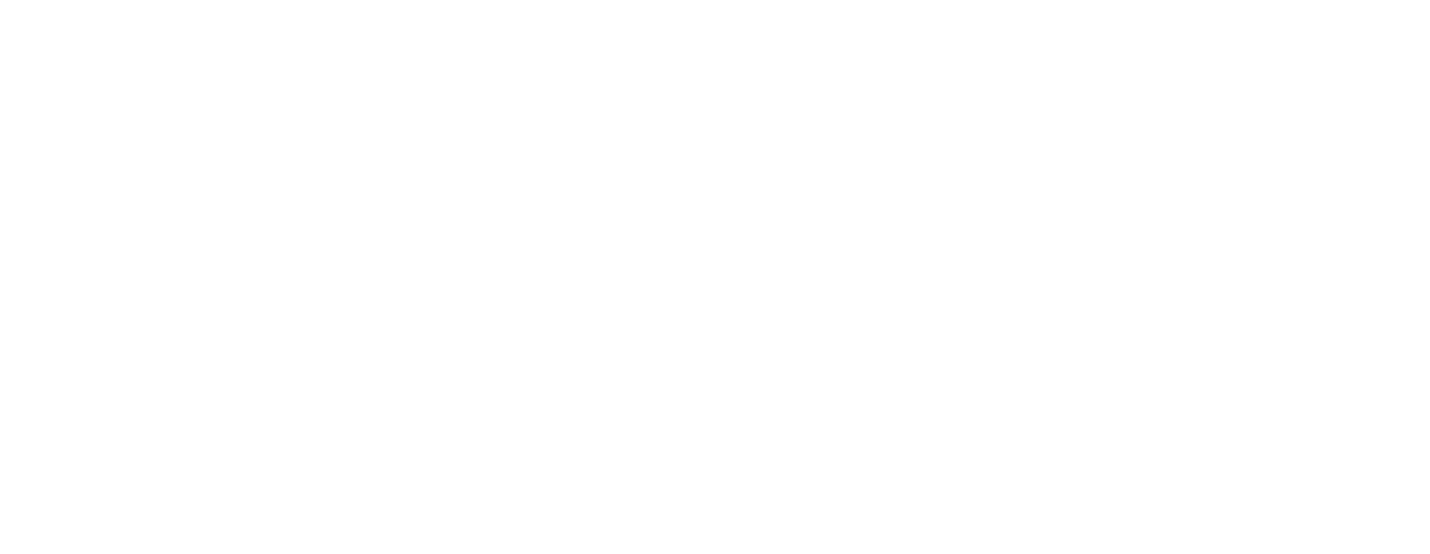 Primary Tax Services